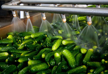  Vegetable Processing Industries consultant